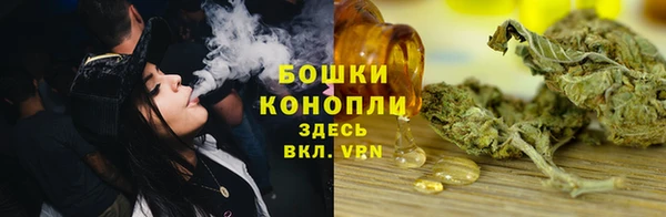 молекула духа Новодвинск
